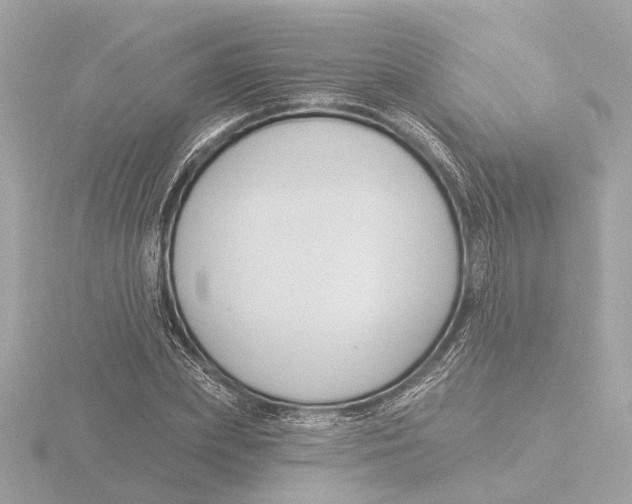 X0000116160831200912211526