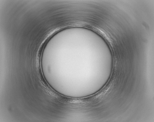 X0000116160835200912211526