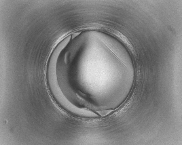 X0000116160850200912211527