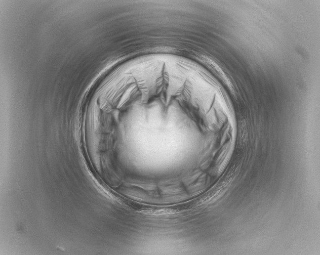 X0000116160851200912211527