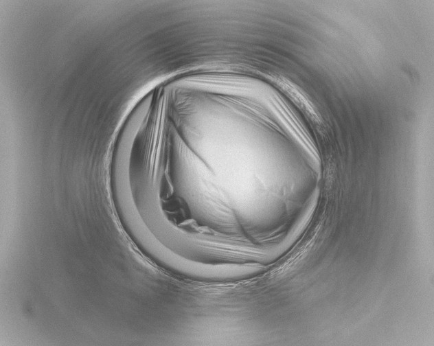 X0000116160854200912211527
