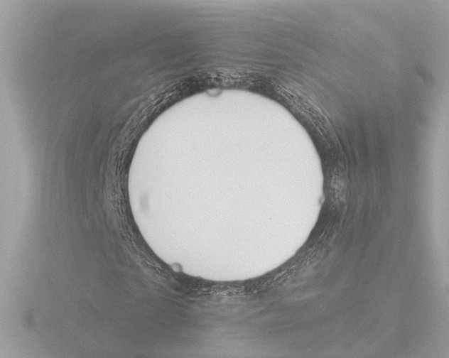 X0000116160865200912211526