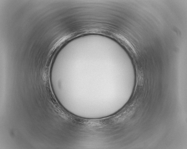 X0000116160874200912211526