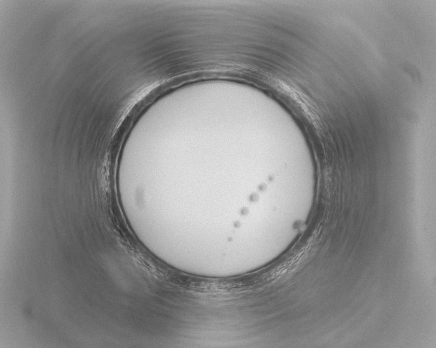X0000116160875200912211526