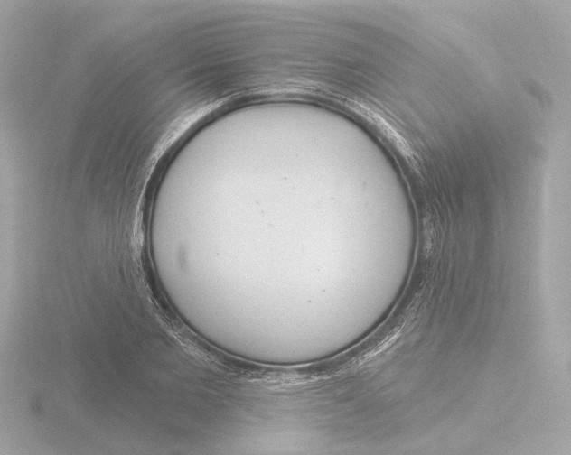 X0000116160885200912211526