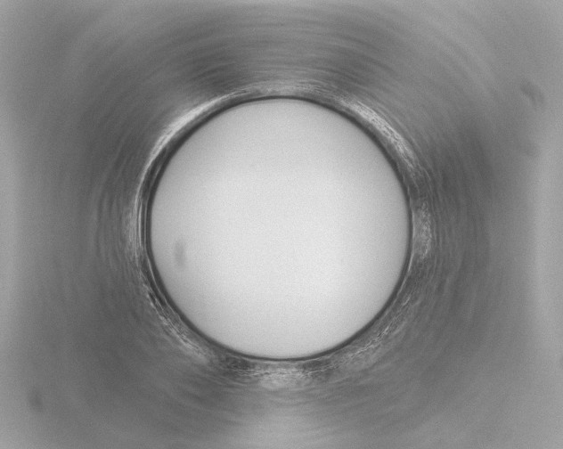 X0000116160886200912211526