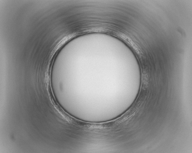 X0000116160890200912211526