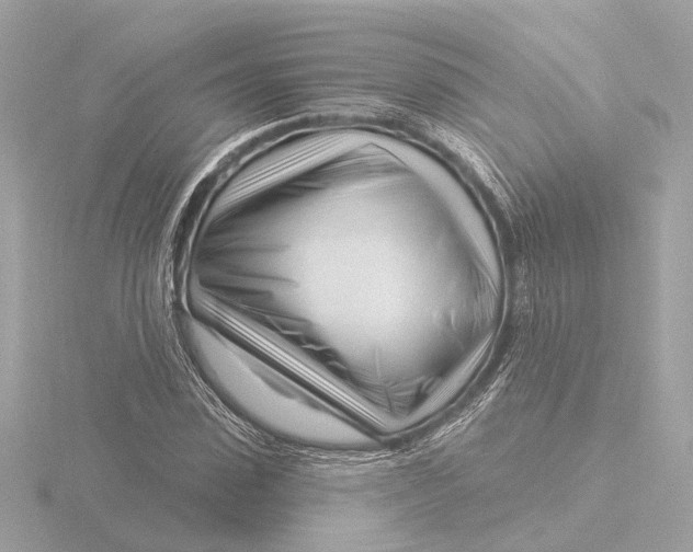 X0000116160923200912211525