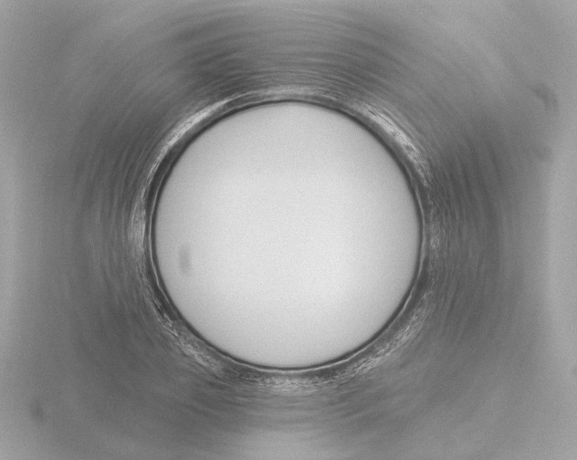 X0000116160933200912211525