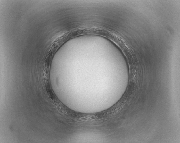 X0000116160966200912211525