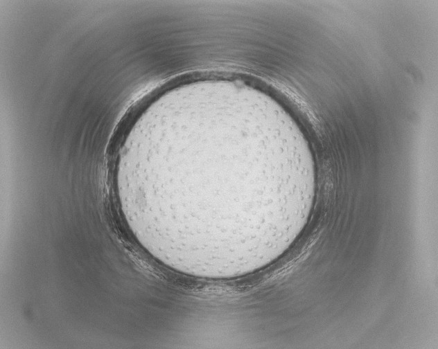 X0000116160974200912211525