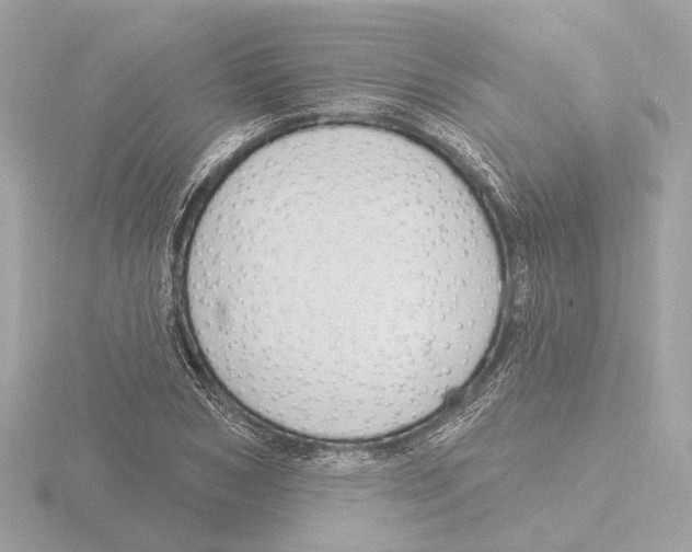X0000116160978200912211525