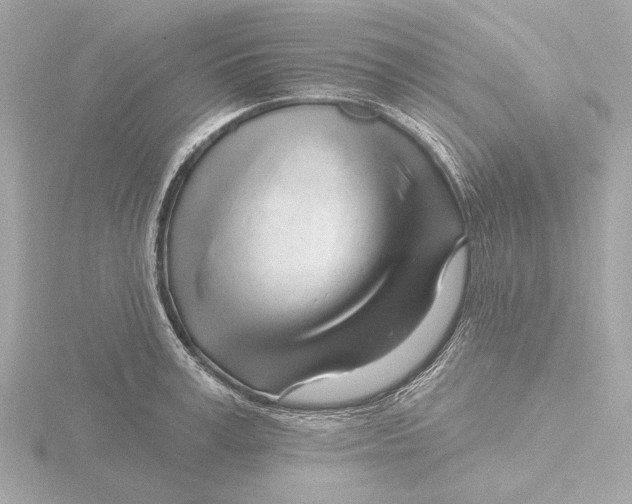 X0000116160995200912211525