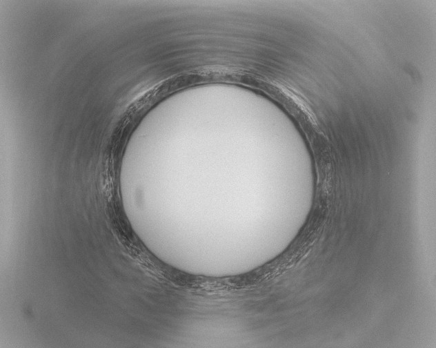 X0000116161015200912211524