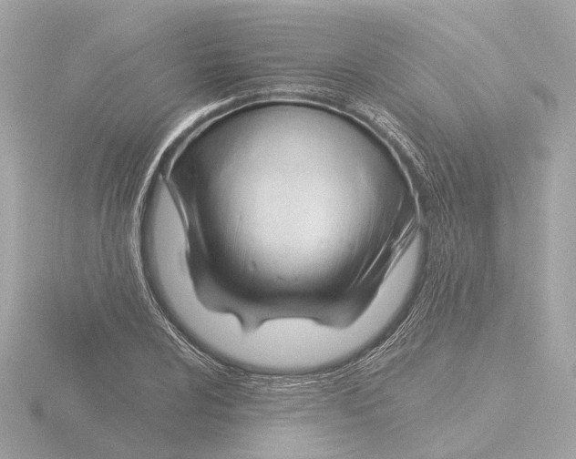X0000116161024200912211524
