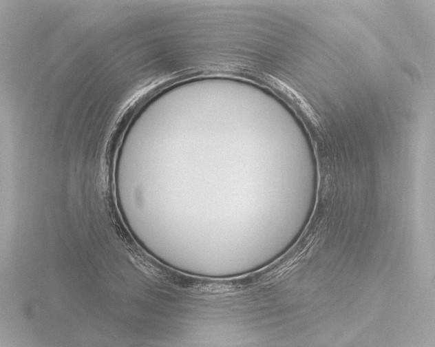 X0000116161027200912211524