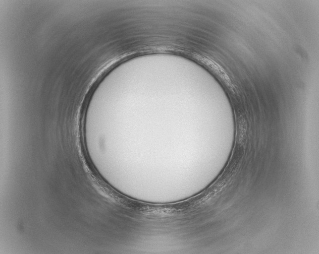 X0000116161039200912211524
