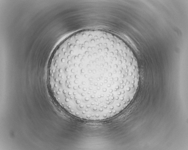 X0000116161044200912211524