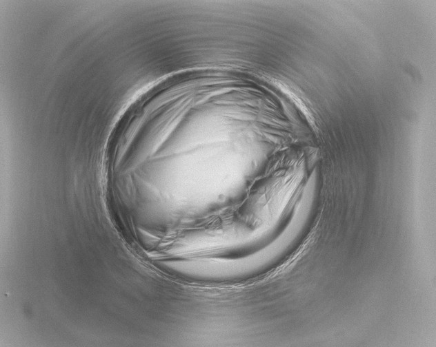 X0000116161077200912211523