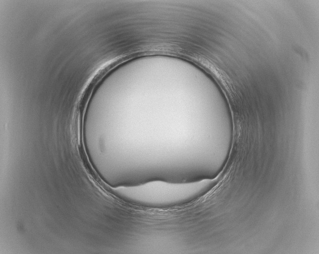 X0000116161123200912211523