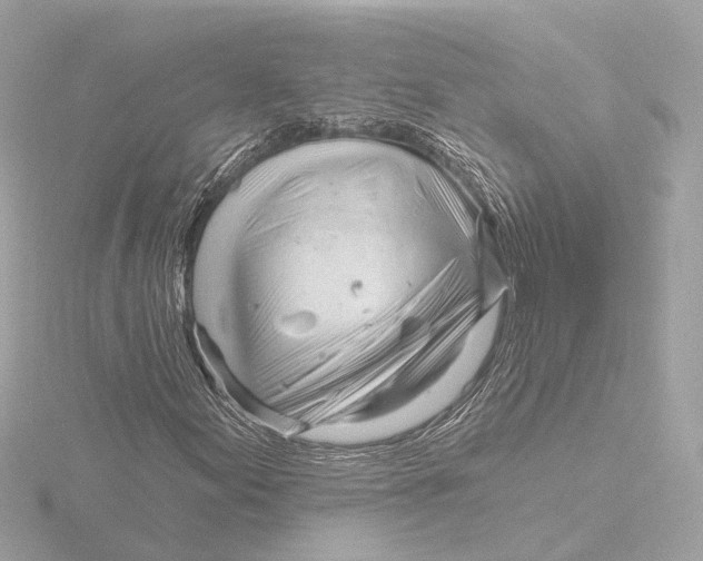 X0000116161155200912211522