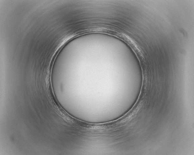 X0000116161178200912211522