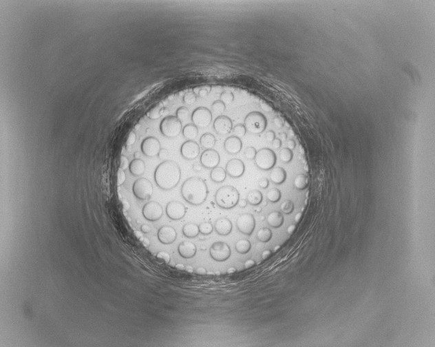 X0000116161205200912211521