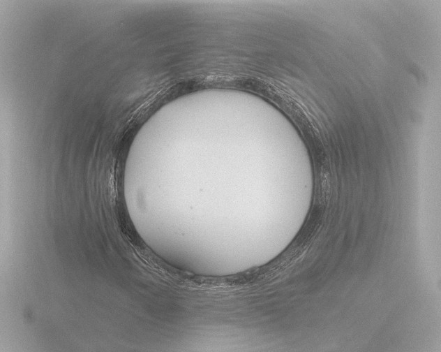 X0000116161250200912211521