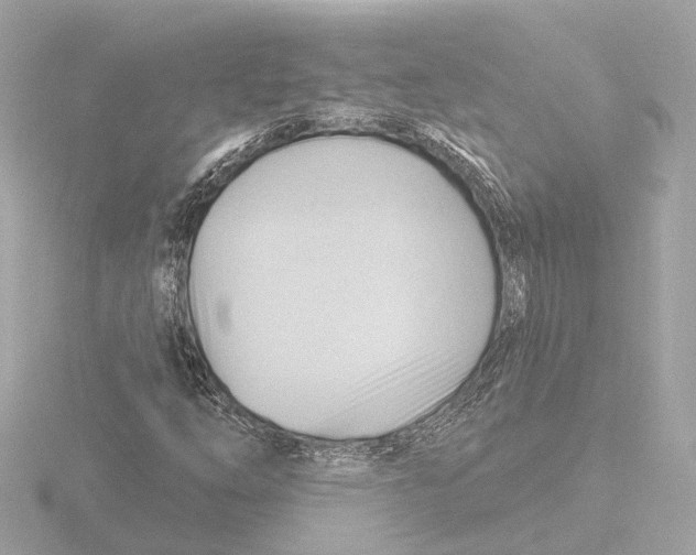 X0000116161254200912211521