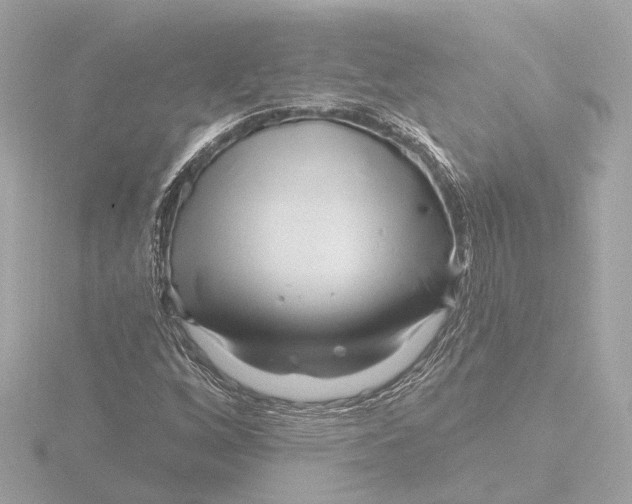 X0000116161256200912211521