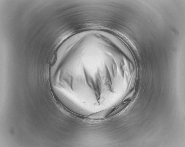 X0000116161289200912211521