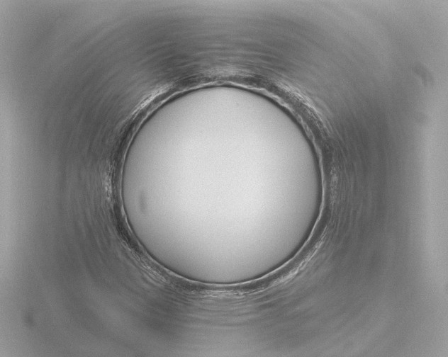 X0000116161305200912211520