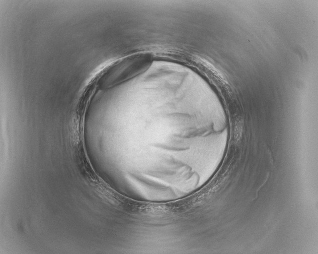 X0000116161310200912211520