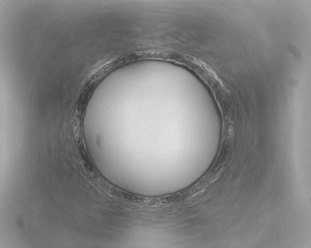 X0000116161350200912211520