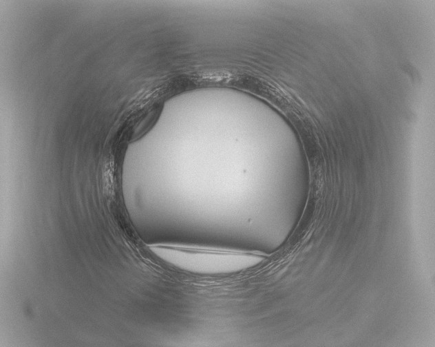 X0000116161394200912211519