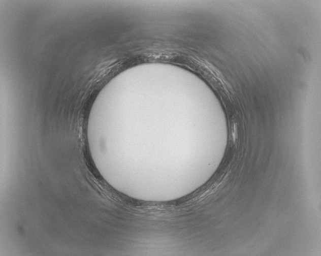 X0000116161396200912211519
