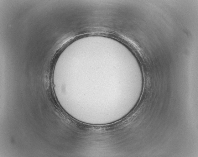 X0000116161407200912211519
