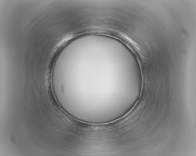 X0000116161411200912211519