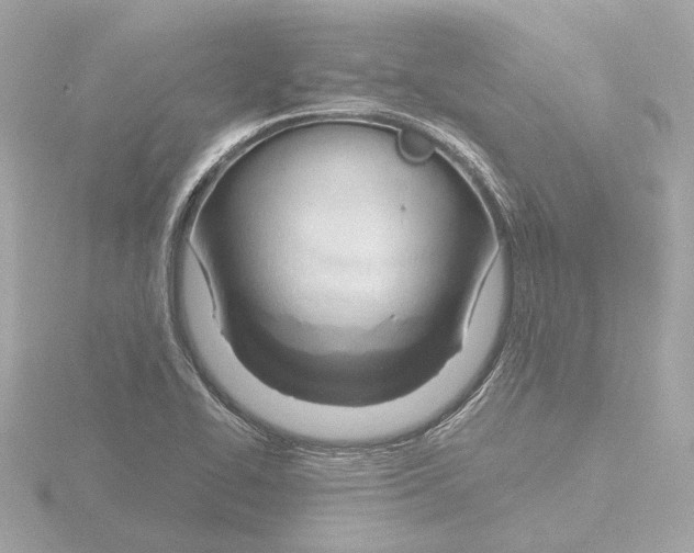 X0000116161414200912211519