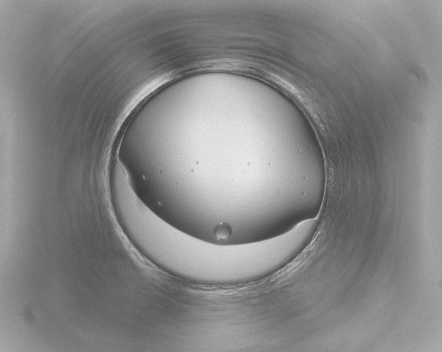 X0000116161426200912211519