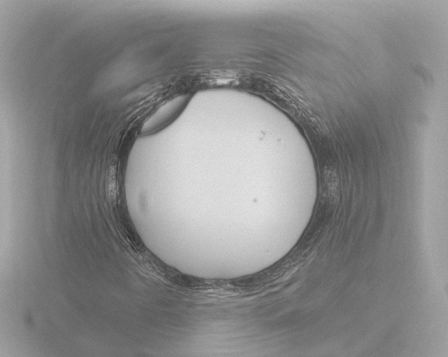 X0000116161442200912211519