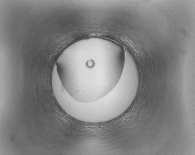 X0000116161444200912211519