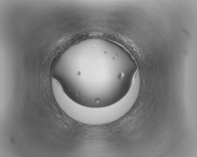 X0000116161445200912211519