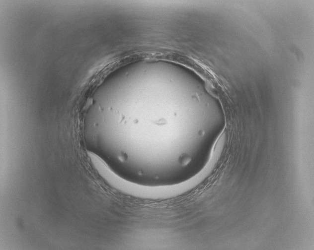 X0000116161447200912211519