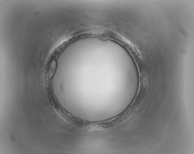 X0000116161448200912211519