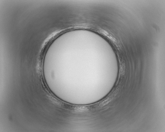 X0000116161454200912211519