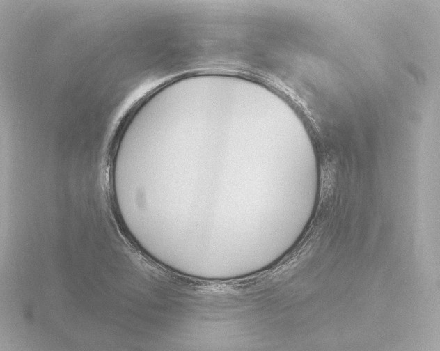 X0000116161462200912211519