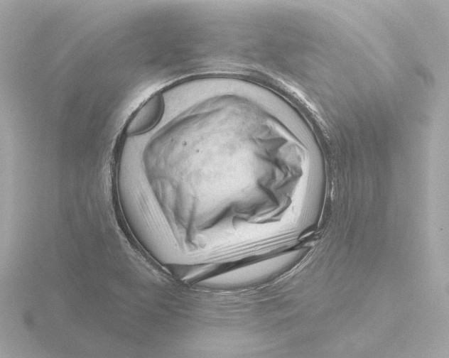 X0000116161463200912211519