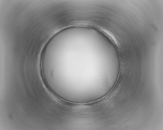 X0000116161475200912211518