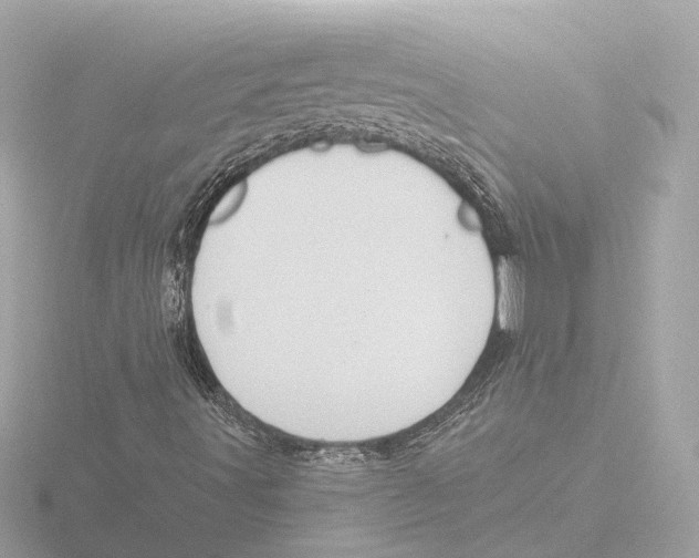 X0000116161491200912211518